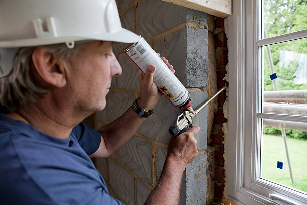 Best Wall Insulation Installation  in USA